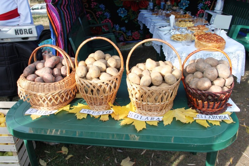 Festivalul cartofului în județul Covasna