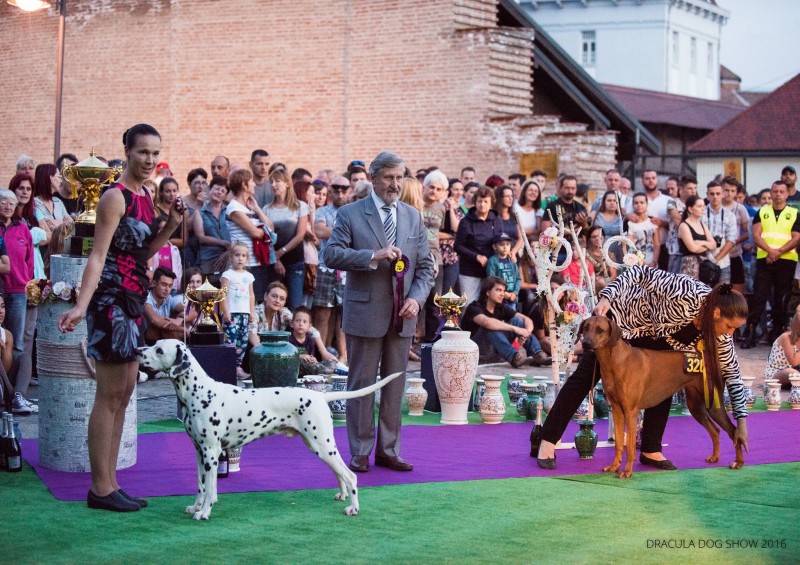 Dracula Dog Show revine la Tîrgu Mureș Dracula Dog Show revine la Tîrgu Mureș