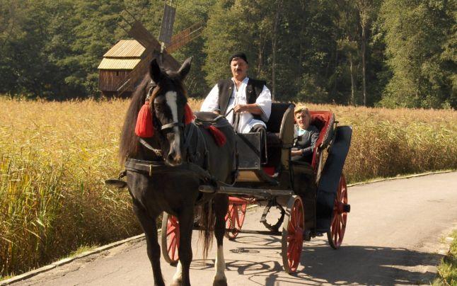 Atracţie turistică anticaniculă – plimbarea cu trăsura prin pădure