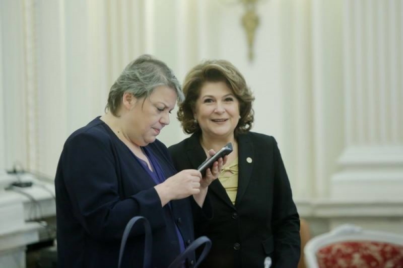 Coalitia de guvernământ, solidară cu Shhaideh și Rovana Plumb