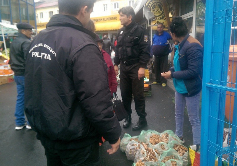 Atenție de unde cumpărați ciuperci!