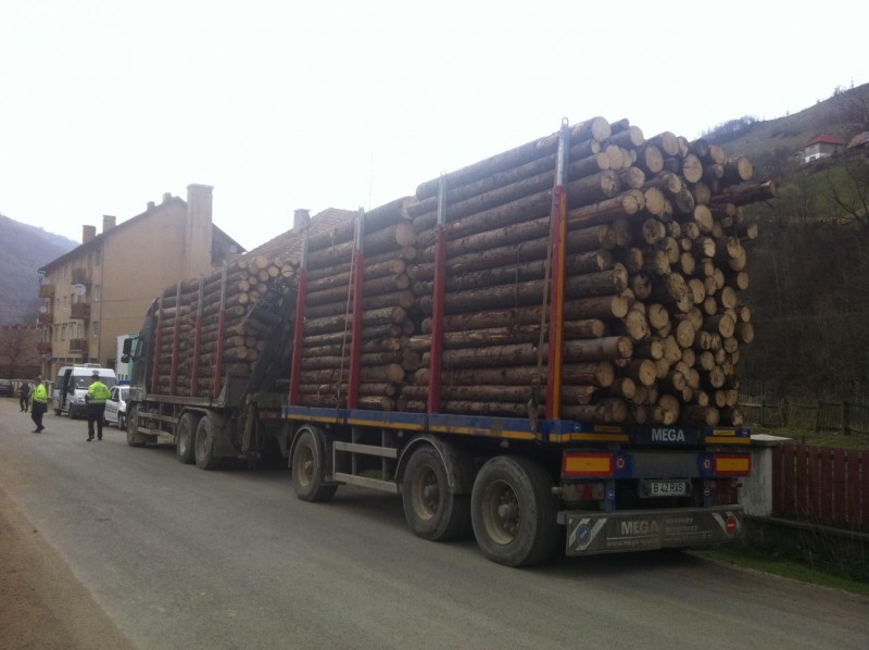 Peste un milion de lei amenzi pentru lemn fără documente