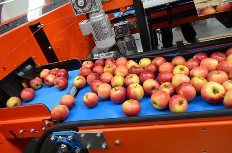 Bani pentru procesarea produselor agricole și pomicole