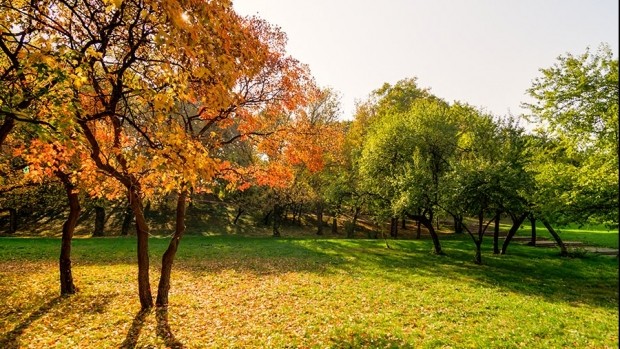 Vremea în Transilvania Vremea în Transilvania