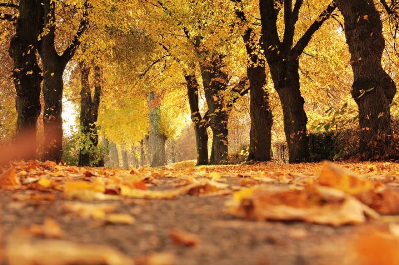 Vremea se menţine rece astăzi în Transilvania