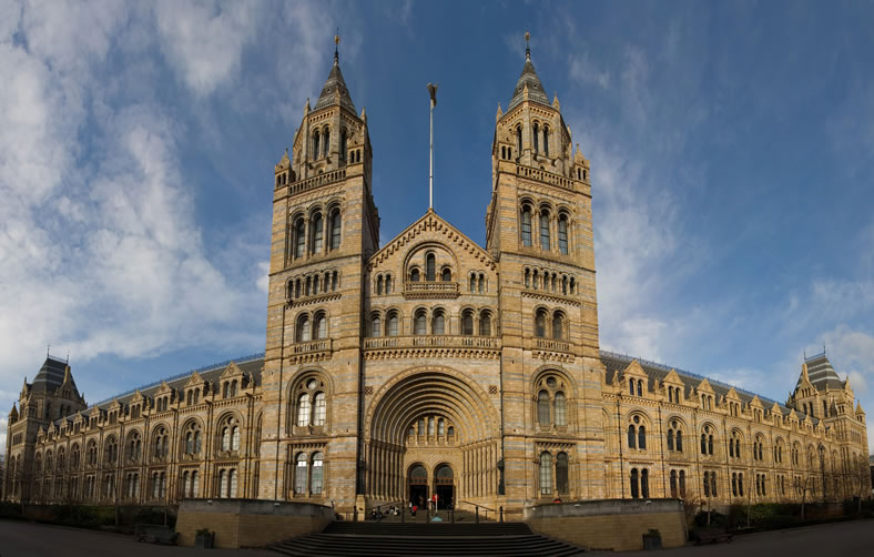 Poliţia din Londra descrie ca fiind o coliziune incidentul produs în faţa Muzeului de Istorie Naturală