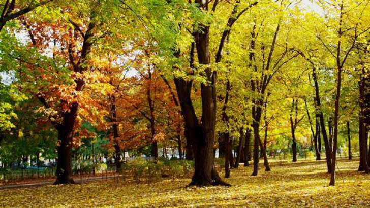 Urmează două săptămâni cu temperaturi normale