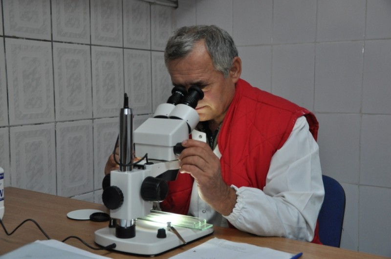 Medicii veterinari harghiteni instruiţi pentru efectuarea examenului trichineloscopic de specialişti ai DSV