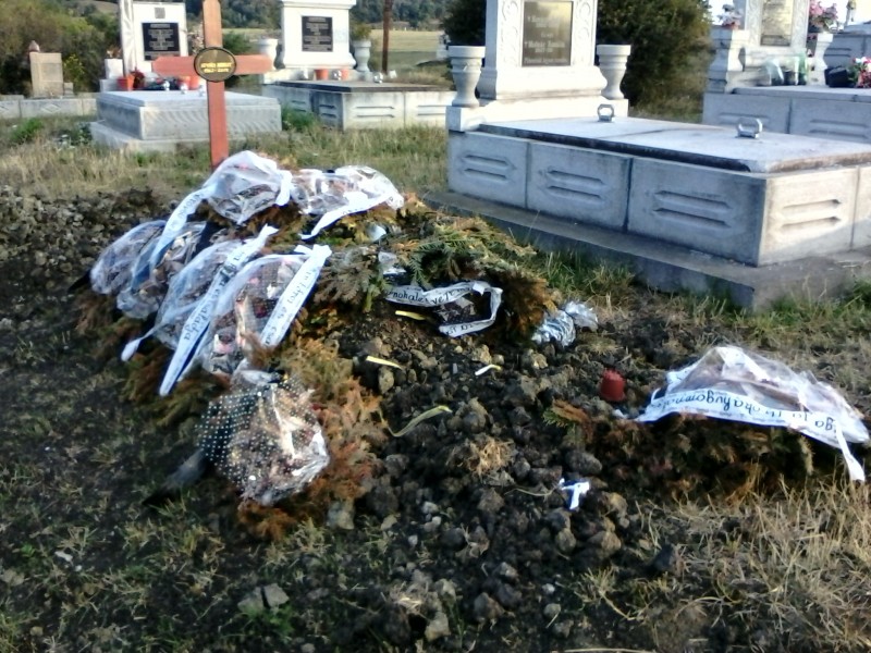 Autoritățile harghitene cer, din nou, aprobarea de urgenţă a autorizaţiilor de recoltare a urşilor