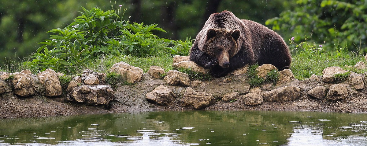 „Milioane de Prieteni” aniversează 20 de ani de existenţă