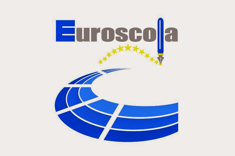 Colegiul Naţional “Mihai Viteazul” din Sfântu Gheorghe a obţinut locul I la concursul european „Euroscola”