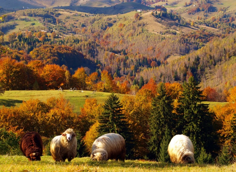 Vremea se menţine în general frumoasã, luni, în Transilvania Vremea se menţine în general frumoasã, luni, în Transilvania