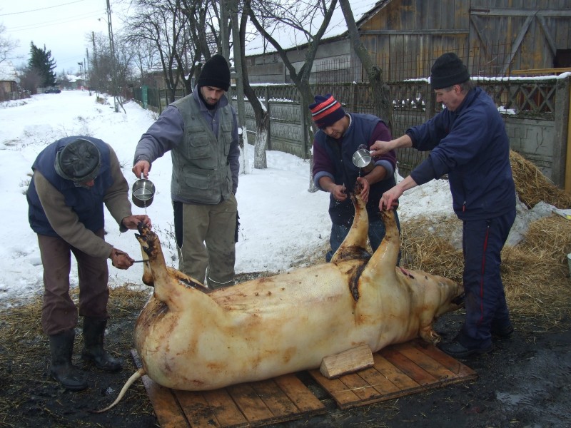 Astăzi, românii, în special cei din mediul rural, sărbătoresc Ignatul