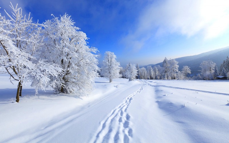 Vremea în Transilvania