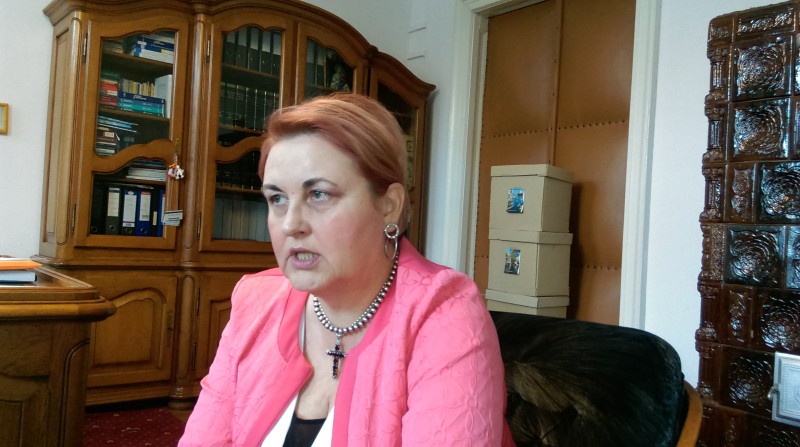 În privința modificărilor la legile justiției, magistrații ar putea aplica principiul amicus curiae