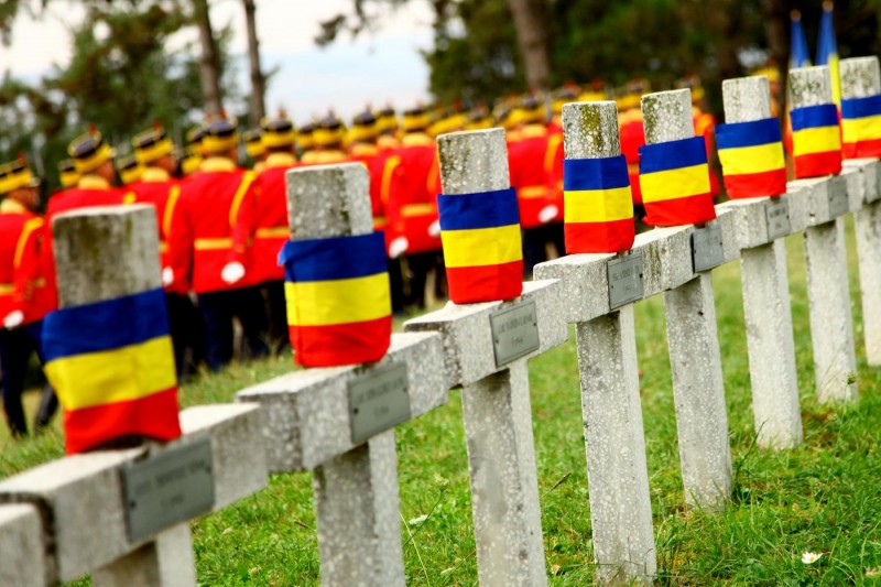 11.000 de stejari pentru 11.000 de eroi