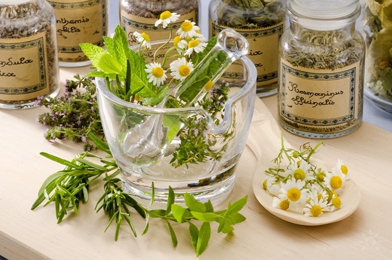 Natura în sprijinul sănătății noastre