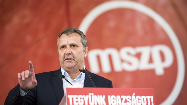 Dacă în Ungaria va câștiga opoziția, se vor relua şedinţele comune de guvern