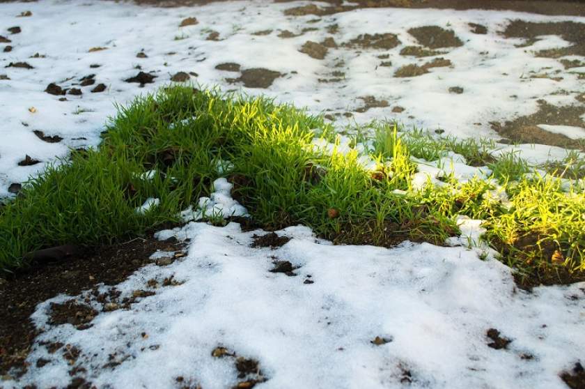 Temperaturi în limite normale