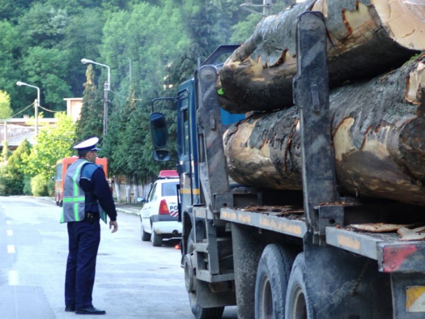 Material lemnos confiscat de polițiștii mureșeni