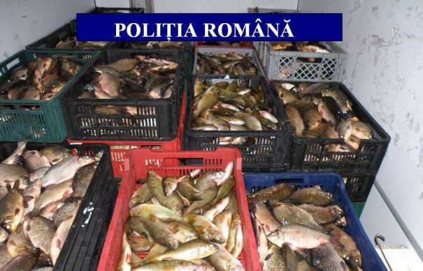 Acţiuni ale poliţiştilor, pentru protejarea fondului piscicol