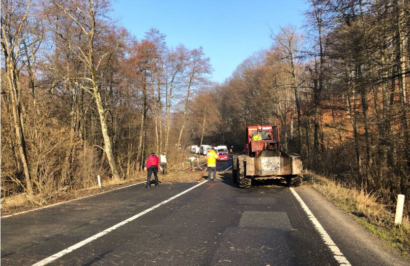 Se circulă cu restricții pe DN 13, în Pădurea Bogății