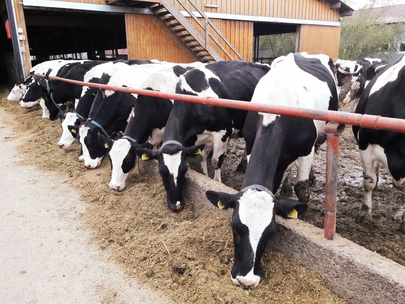    Cereri de finanțare de aproape 2 miliarde de euro depuse de agricultori