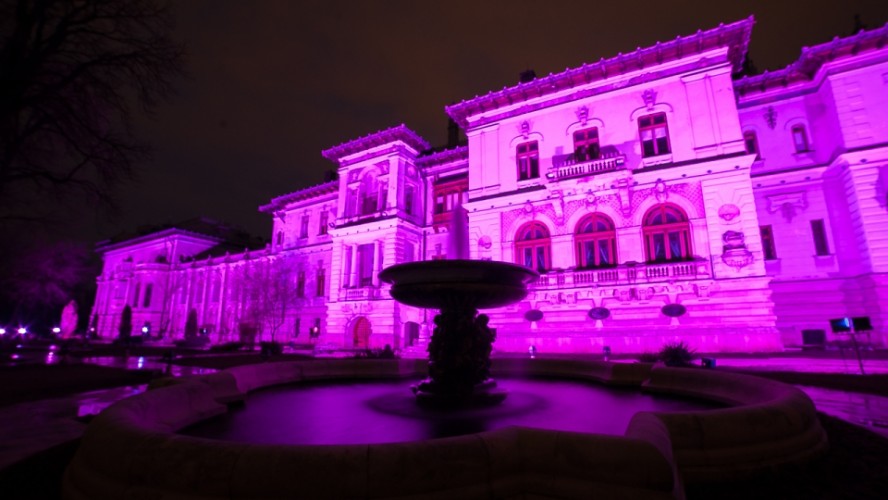 Palatul Cotroceni – iluminat în mov de Ziua Internaţională a Luptei împotriva Epilepsiei