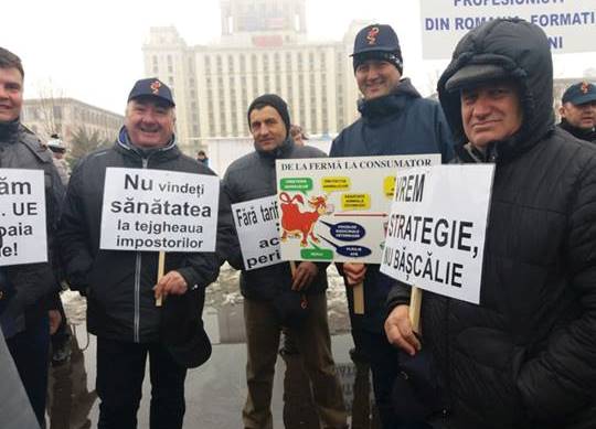 Medicii veterinari protestează la această oră la București