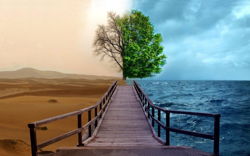 Fenomenele meteo extreme au devenit un fapt cotidian
