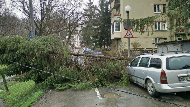 Furtuna a produs pagube în Mureș