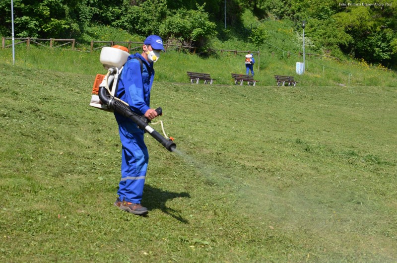 O noua campanie de combatere a capușelor, pe domeniul public din Brașov