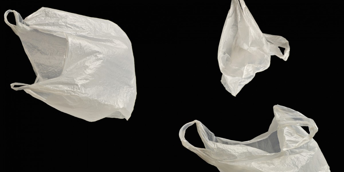 Legea privind pungile din plastic subţire cu mâner a fost promulgată de Klaus Iohannis