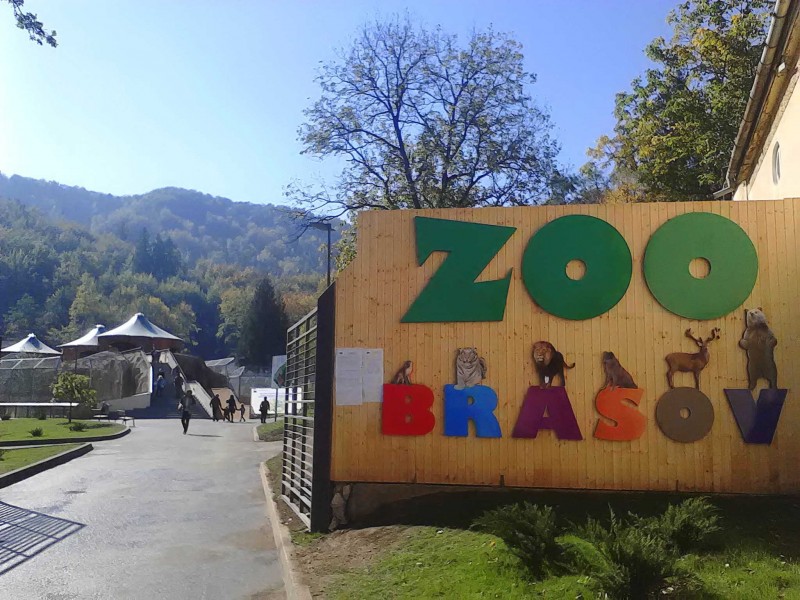 În premieră în România, „Dialoguri cu îngrijitorii”, zilnic, la Zoo Brașov În premieră în România, „Dialoguri cu îngrijitorii”, zilnic, la Zoo Brașov