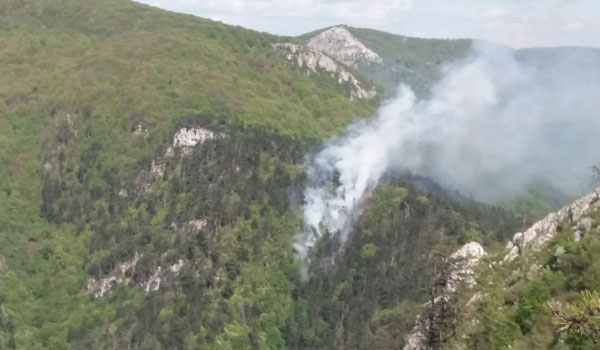 Misiune de recunoaştere aeriană deasupra zonei afectate de incendiu din Parcul Naţional Domogled Misiune de recunoaştere aeriană deasupra zonei afectate de incendiu din Parcul Naţional Domogled
