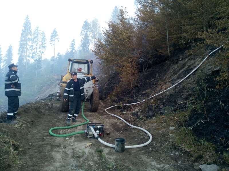 Pompierii mureșeni intervin de peste 24 de ore pentru stingerea unui incendiu izbucnit lângă o pădure de răşinoase Pompierii mureșeni intervin de peste 24 de ore pentru stingerea unui incendiu izbucnit lângă o pădure de răşinoase