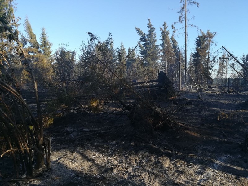 Pompierii intervin pentru stingerea unui incendiu de vegetaţie în Harghita