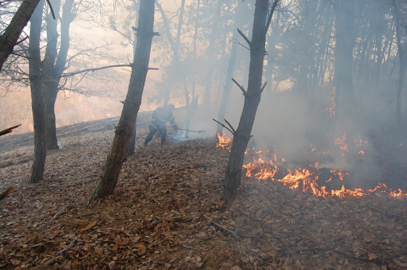 Acţiunile de stingere a incendiului de vegetaţie izbucnit în Munţii Rodnei au fost reluate