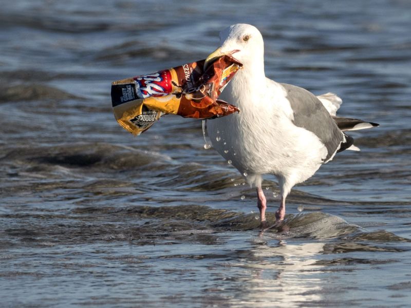 UE pregăteşte interzicerea obiectelor din plastic de unică folosinţa