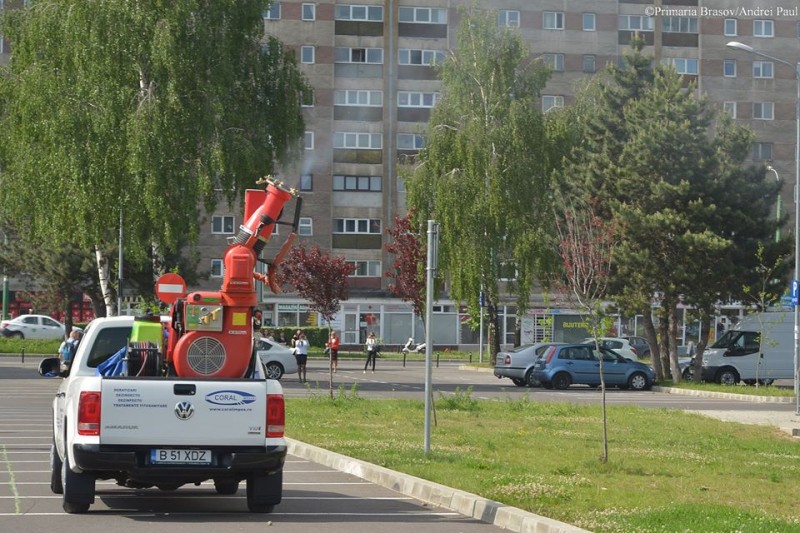 În mun. Brașov începe azi activitatea de deratizare
