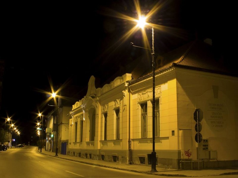Acces gratuit sâmbătă seara, la Muzeul Cinegetic din Sfântu Gheorghe
