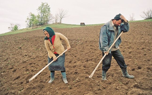 Mult așteptatele ploi dau emoții agricultorilor din Mureș și Harghita