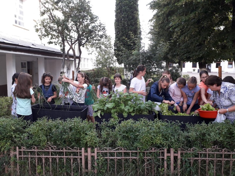 Elevii Colegiului Tehnic Mircea Cristea au participat la implementarea proiectului ,,Plantăm idei pentru o viață sănătoasă“