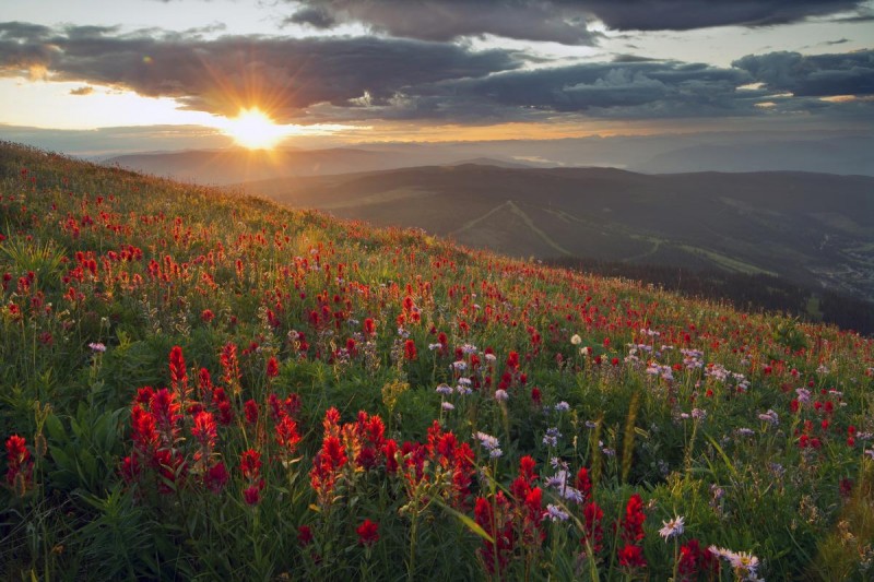 Vremea în Transilvania