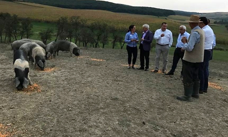Întâlnire a ministrului agriculturii cu crescătorii de porci