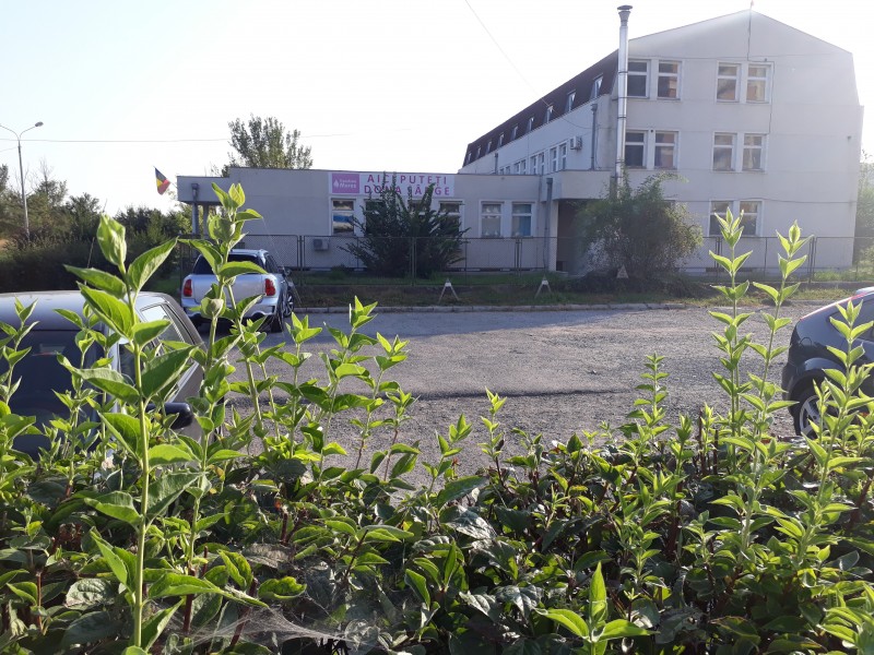 Conducerea SCJ Mureș face un apel la donare de sânge