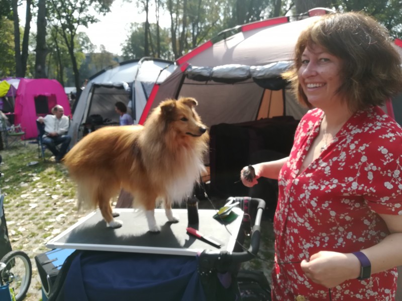 Tîrgu Mureș găzduiește cea mai mare competiție de frumusețe canină din țară
