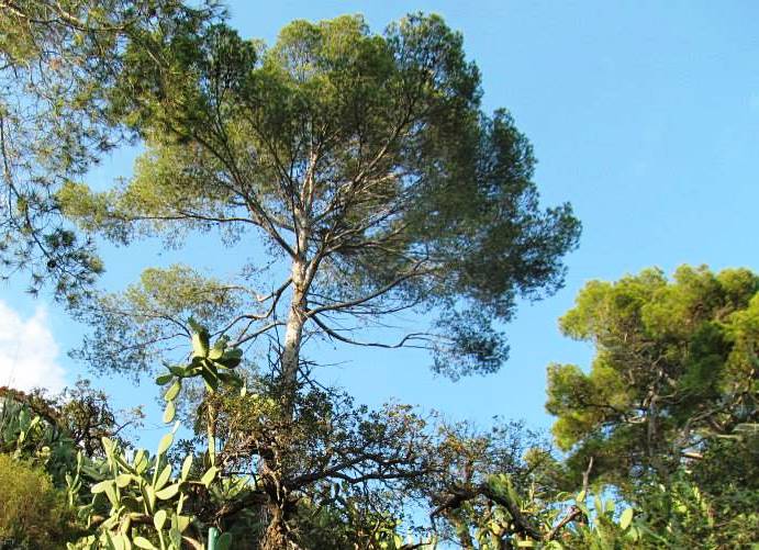 Vremea devine cãlduroasã în cea mai mare parte a Transilvaniei, iar disconfortul termic va fi ridicat