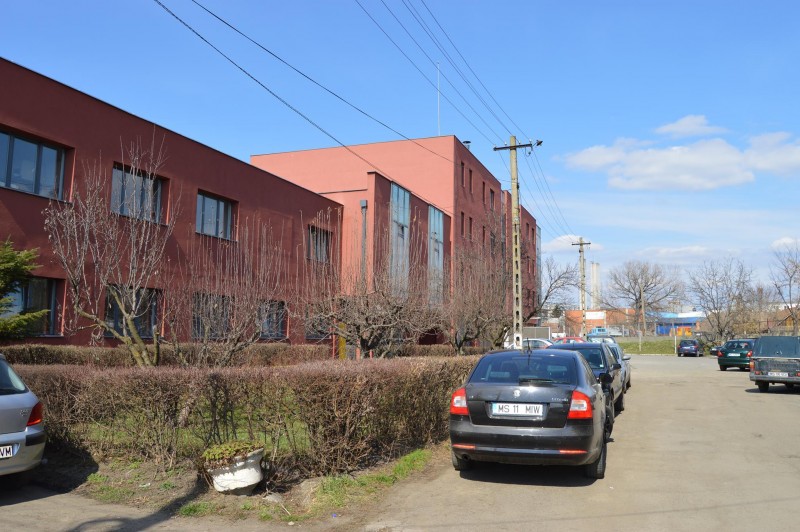 DSVSA Mureş, în dificultate cu efectuarea testelor pentru pesta porcină africană