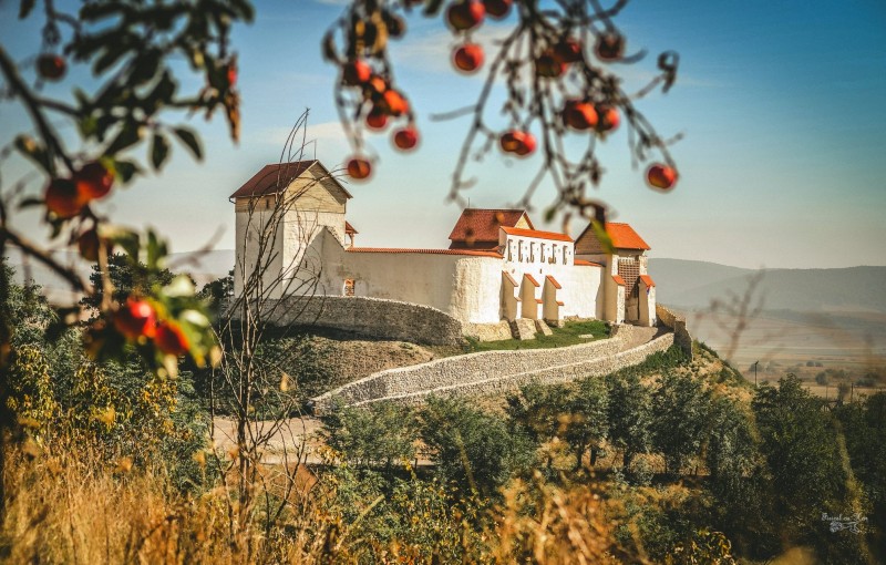 Festivalul ”Cavalerii Teutoni se întorc în Cetatea Feldioara”